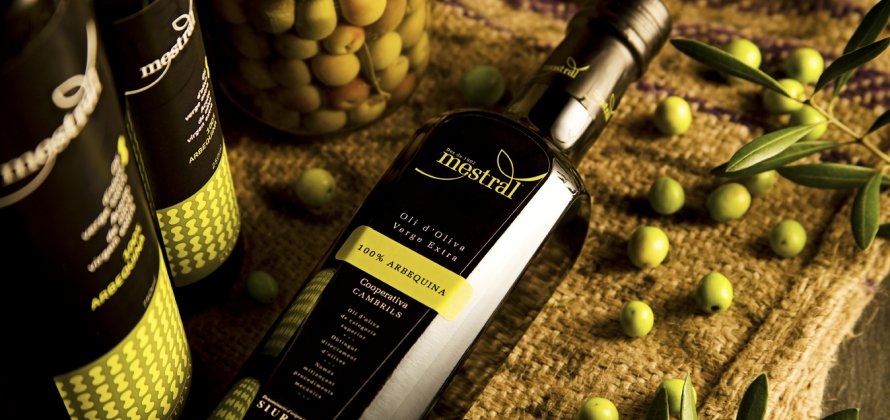 Catalan·e·s du Québec tweet media