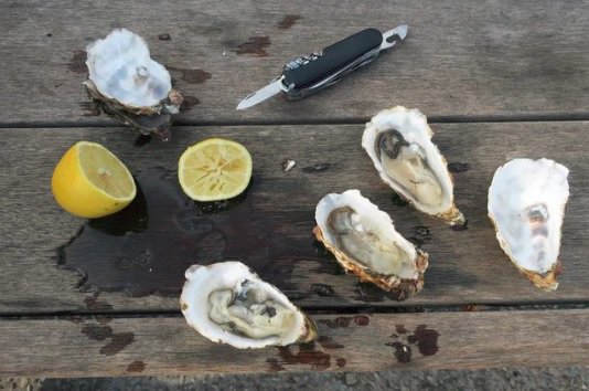 VictorinoxNA's tweet photo. The small blade on the Swiss Army Knife makes a great tool when shucking oysters. #MyVictorinox #SwissChamp #SwissArmyKnife #SAKALLDAY #Oysters #Shucking #SmallBlade #Multitool #PocketKnife #AlwaysPrepared https://t.co/wAGGMZzZ9D