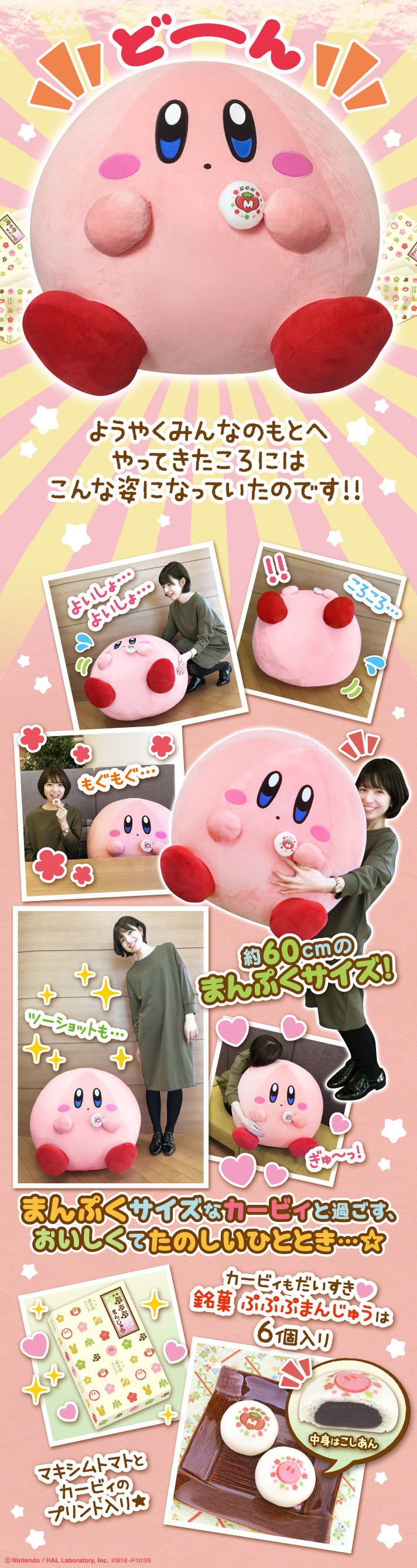 まんぷくカービィ＆おまんじゅうセット（送料込） | 星の