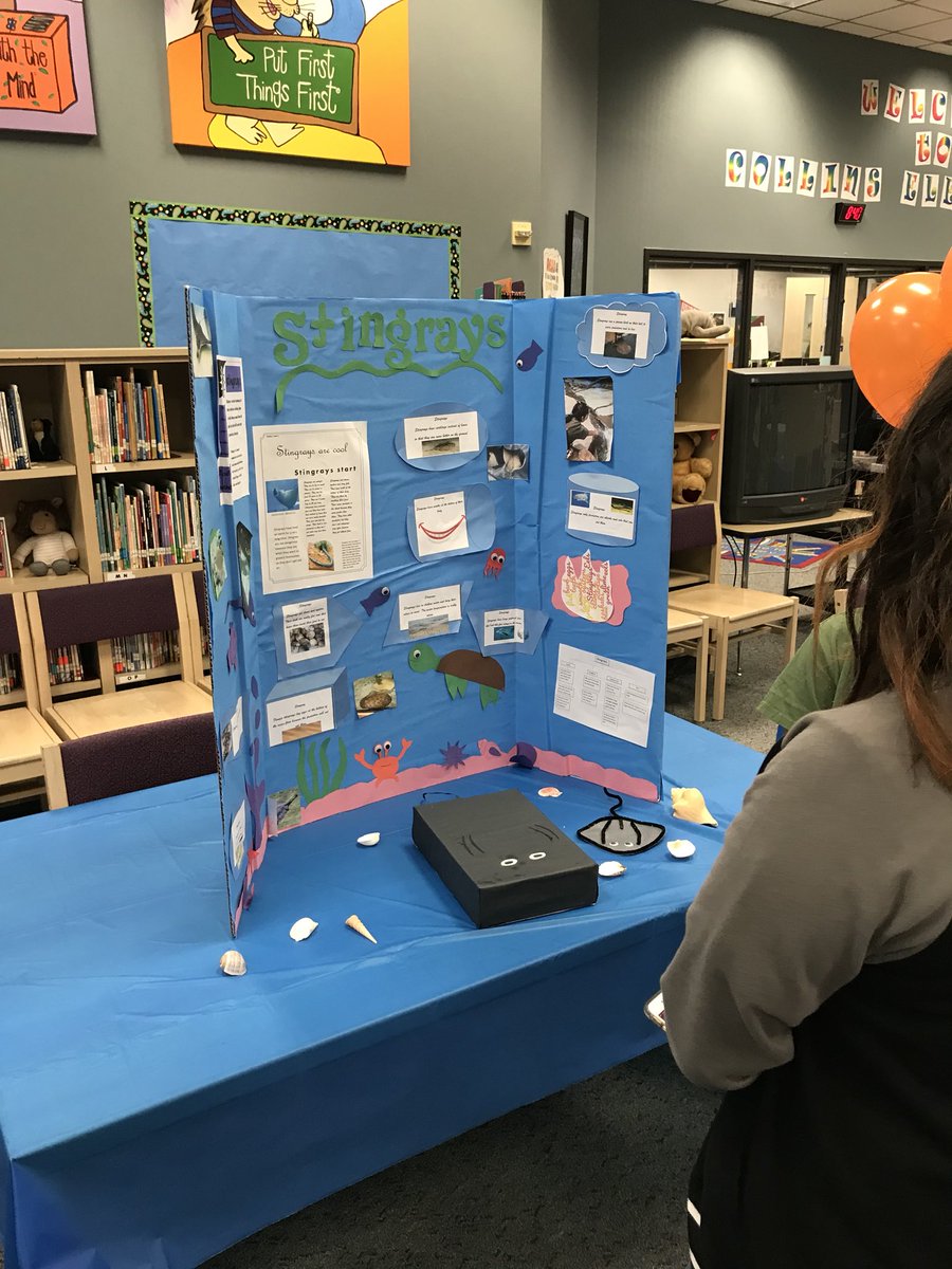 ShelyaWaters's tweet photo. Collins GT students are at their best once again. Check out our GT showcase. 🐠🐟🐙🦑🐳 
#collinsstrong #alief100 #GTshowcase #seacreatures https://t.co/q1QIE8wwKt