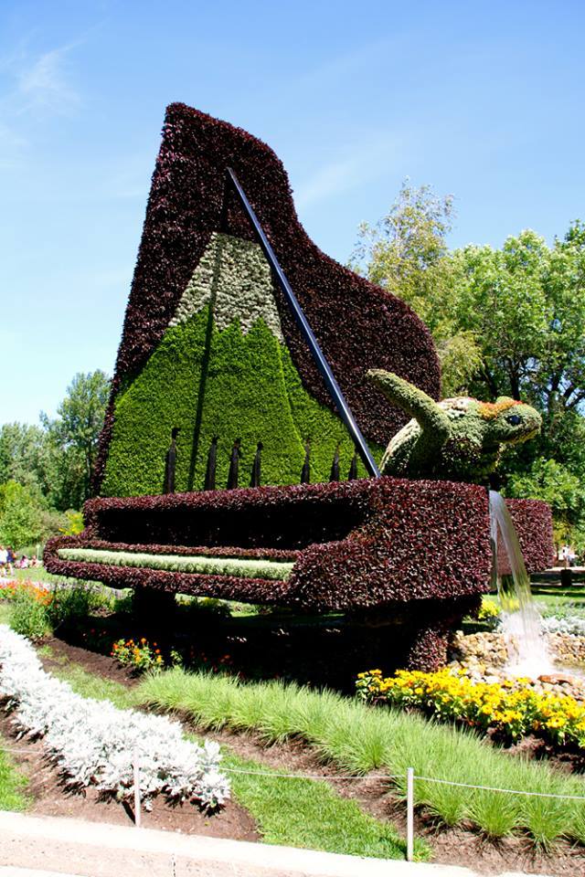 ¡Viernes! Ésta es una clara prueba de cuando la naturaleza y la #música se encuentran.