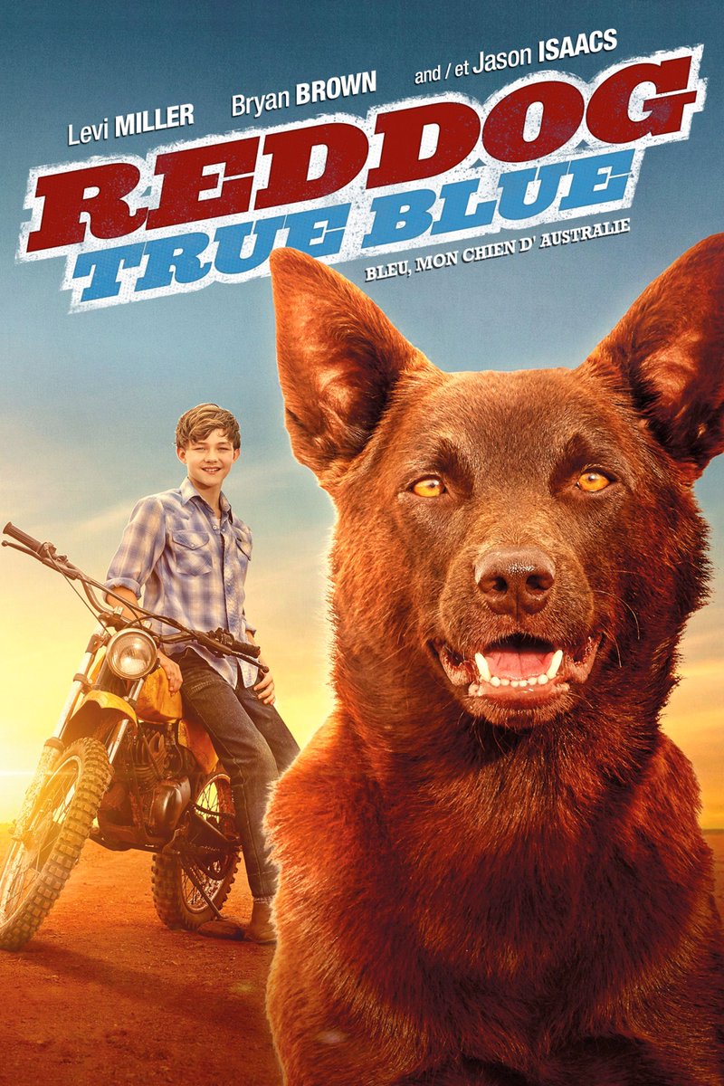 BenMkWrites's tweet photo. Must love dogs? No, but you will after this movie. Follow + RT to enter to #win an @iTunes digital copy of #RedDogTrueBlue, now available on DVD & VOD and starring @jasonsfolly & @levizanemiller! #Canada only https://t.co/O7NMSKbMM8