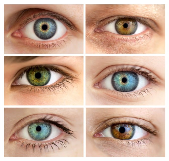 Your eye color is effected by the level of melanin in your iris. Brown eyes have more melanin. Blue eyes have  less melanin which allows collagen (The blue) to show through.