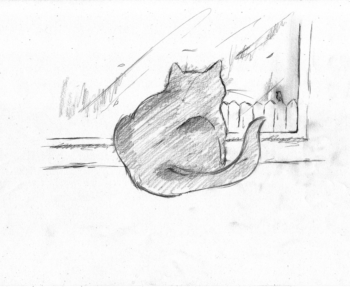 videoludo's tweet photo. So siehts aus, wenn @BariKatze twittert! #cyan #katzengeflüster #madeinpatida https://t.co/5I1jd7Cktl