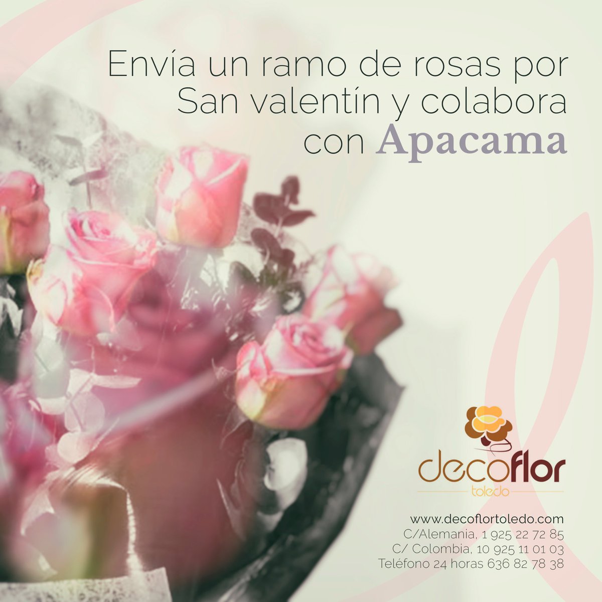 DecoflorToledo's tweet photo. Este San Valentin puede ser mas especial que nunca. Compra tu ramo de 12 rosas de color rosa y estarás colaborando con la Asociación  #Apacama y el cancer de mama #todosjuntossumamos #flor #sanvalentin #decoflor #flores #rosas #cancermama #cancer https://t.co/V92TUstXLm