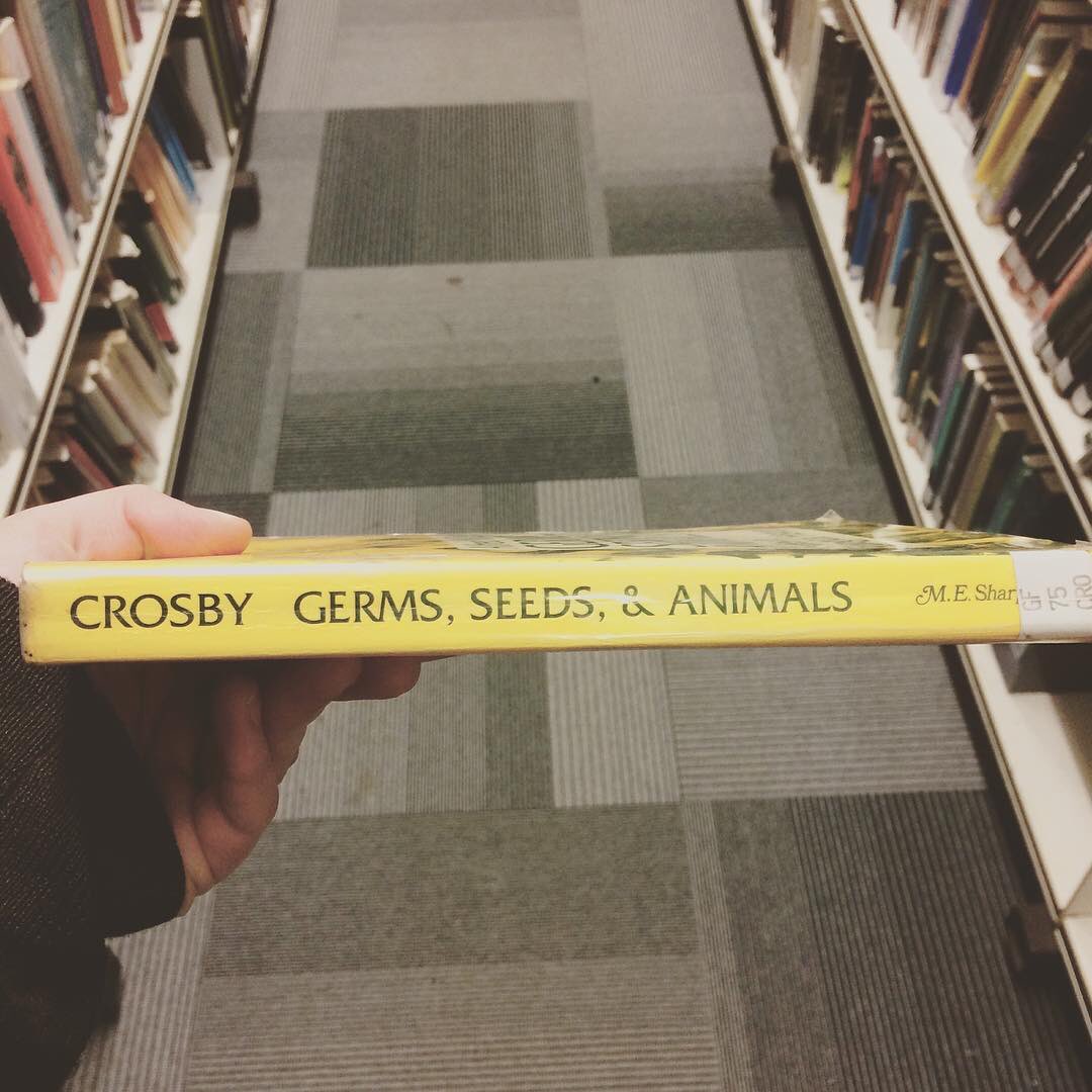 Before he met Stills, Nash and Young, David Crosby was a member of a less successful band...