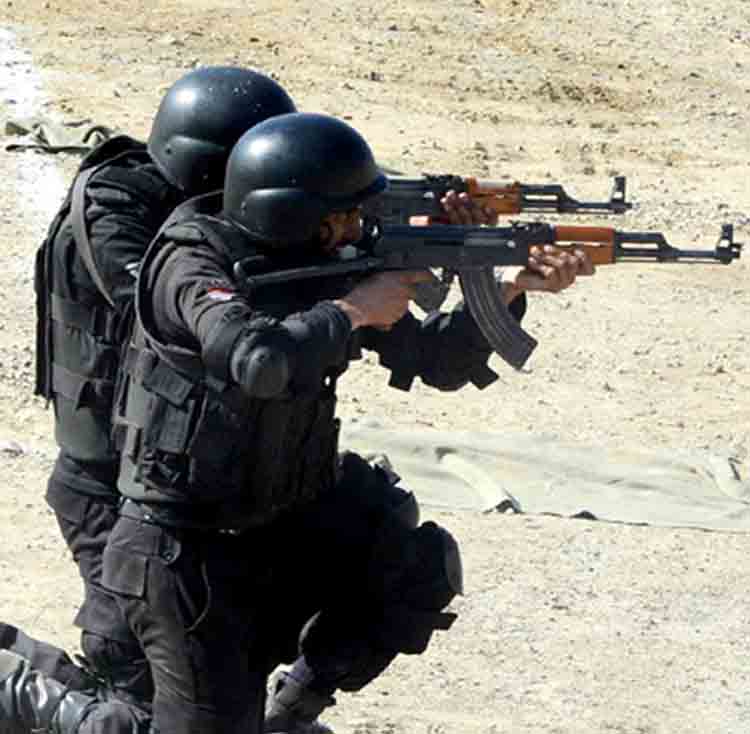 LahoreNewsHD's tweet image. چینی شہریوں کے دفاتر،کاروباری مراکز اور رہائشگاہوں کےاطراف میں ہنگامی مشقیں
bit.ly/2FX75L9
#mockexercises #police #Chinese #chineseresidence #dolphin #bombsquad