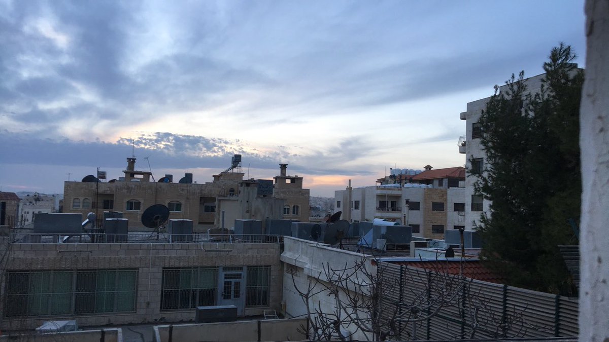 nintendaws tweet media