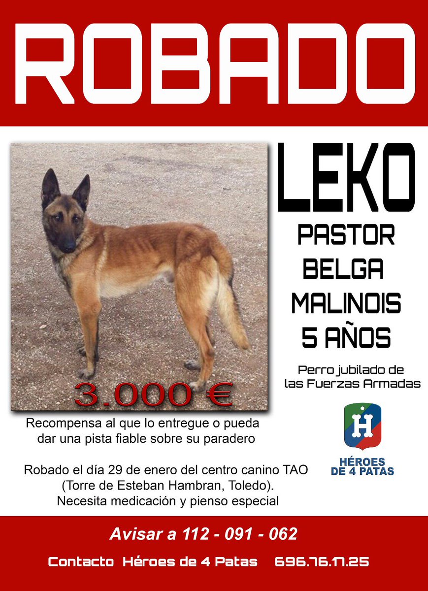 heroesde4patas's tweet image. 