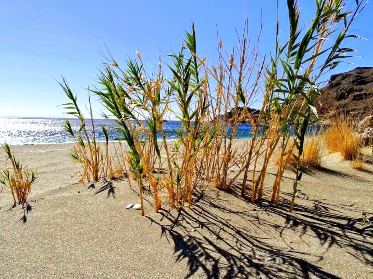 plakiassuites's tweet photo. #February...a step closer to #summer in #Crete, #Greece !💙🇬🇷😎

#Plakias #PlakiaSuites #Rethymno 
https://t.co/RrcmLUteMo https://t.co/tR8usamVJX