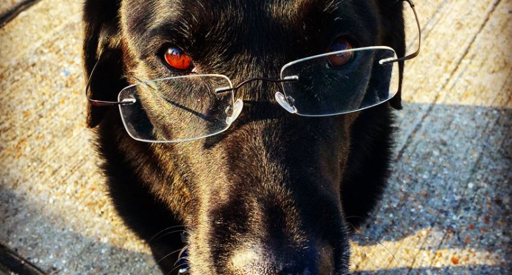 clear_coaching tweet picture