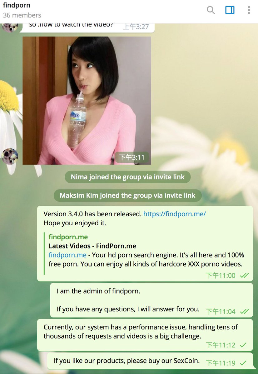 findporn (@findporn)  X