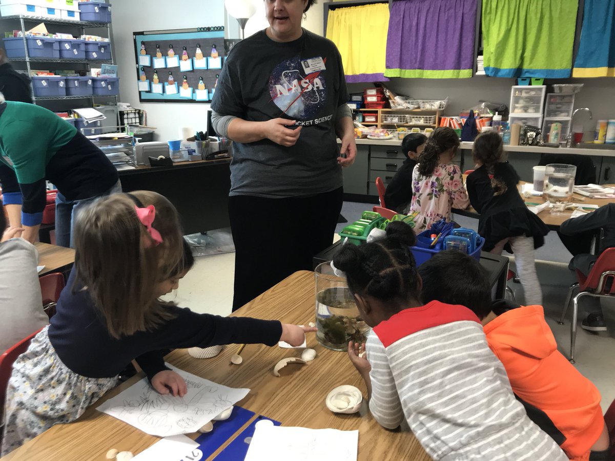 DeniseScaccia's tweet photo. Our class had so much fun asking questions!  Our Science X facilitator called us the question class”. @oceeotters @AnnScottHanks10 https://t.co/Qwie9FtJR9