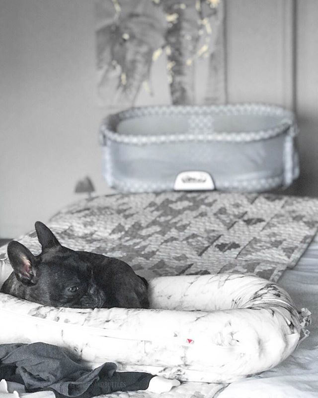 Bumps and Bottles tweet media