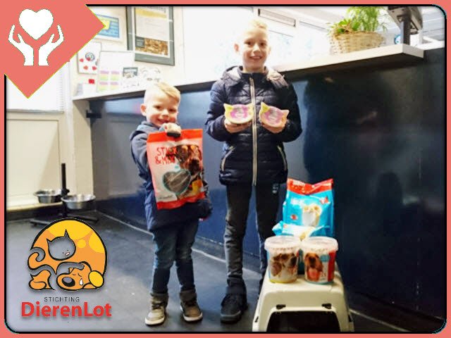 Deze boys waren zo geraakt door de publicaties van Dierenlot, door Drechtje, dat de broertjes allemaal lekkere dingen voor de asielhonden en -katten kochten. Op  rekening van het broertje (r). Trots brachten ze samen hun donatie naar  het Dierentehuis. Bedankt. Goed werk mannen.