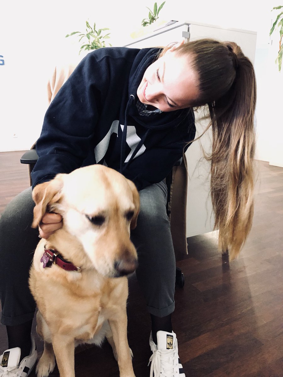 fintechcube's tweet photo. #FridayFacts : #Bürohunde als unsere #FinTechCube #ChiefHappinessOfficer - glückliche Arbeitnehmer liefern eine bessere #Qualität, machen weniger Fehler und sind #produktiver. Immer mehr #Unternehmen erlauben deshalb ihren Mitarbeitern, #Hunde mit ins #Büro zu nehmen 🙏👌 https://t.co/N7Nt55wlND