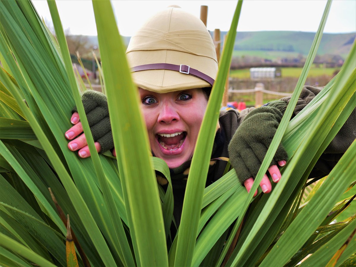 SpringBarnFarm's tweet image. Yippee! Half term is here and Wildlife Week is kicking off at the farm tomorrow, with Wildlife activities, lambing, entertainment and more! 😁#halfterm #dayout #februaryhalfterm