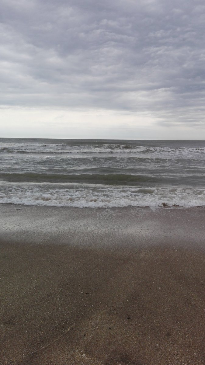 puquilero's tweet photo. #lasgaviotas https://t.co/DmPid1kwcm
