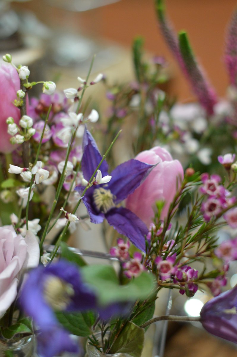 dartsfarm's tweet photo. Stunning colours coming from the #FlowerShack at the moment! #FridayFeeling #SpringisComing https://t.co/b2rpVXgmxy