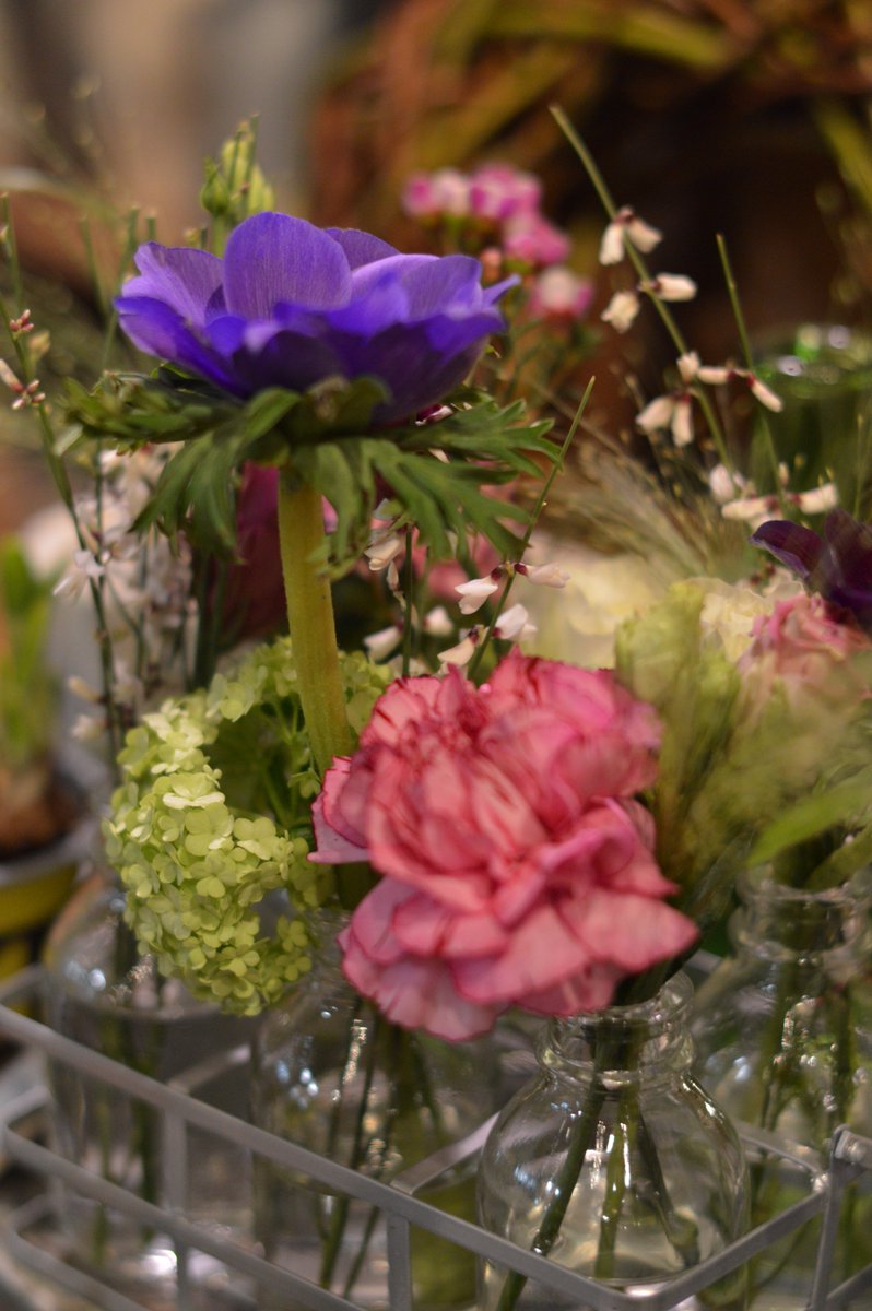 dartsfarm's tweet photo. Stunning colours coming from the #FlowerShack at the moment! #FridayFeeling #SpringisComing https://t.co/b2rpVXgmxy