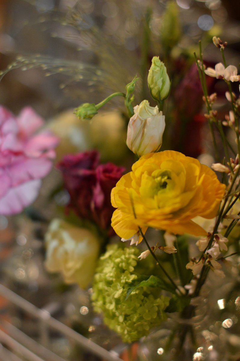 dartsfarm's tweet photo. Stunning colours coming from the #FlowerShack at the moment! #FridayFeeling #SpringisComing https://t.co/b2rpVXgmxy