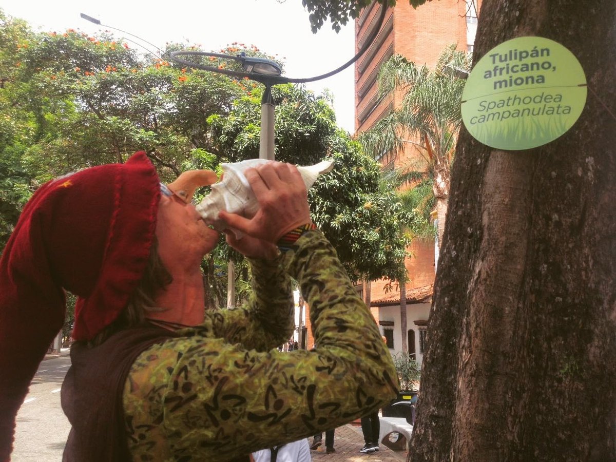 Distrito Candelaria tweet media