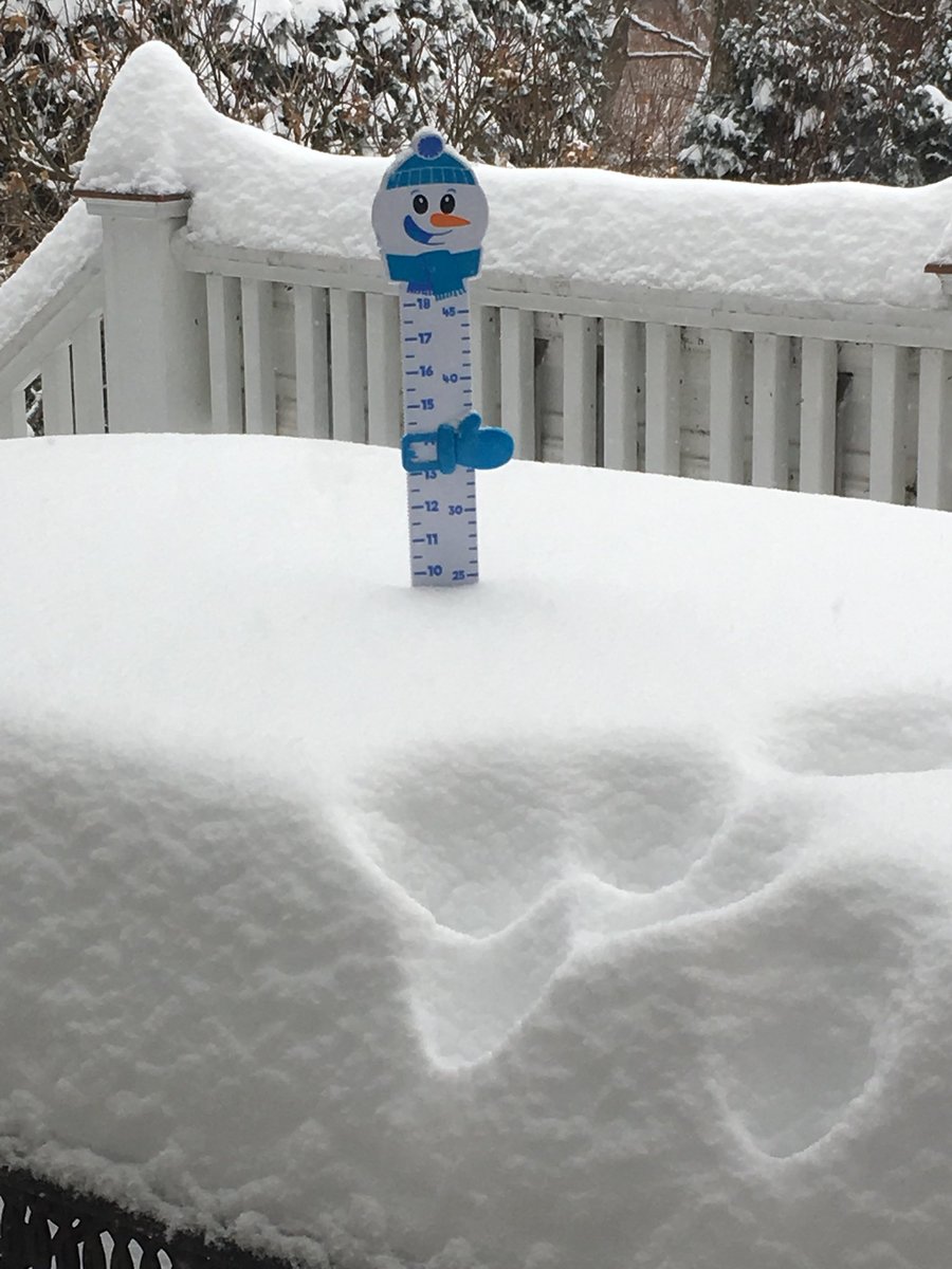 TracyButlerABC7's tweet image. My daughter sent me her official #snowtable photo. #Chicago #snowstorm