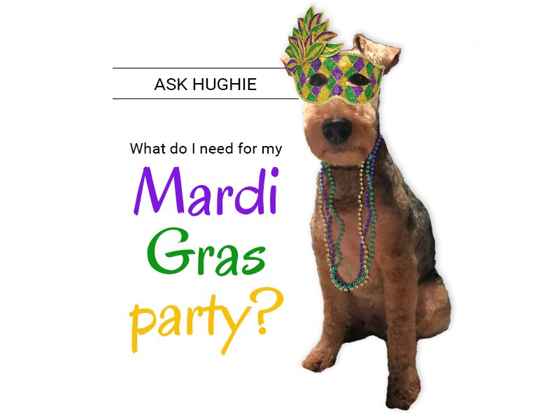 dixiepaper's tweet photo. Party hard and laissez les bons temps rouler! #MardiGras https://t.co/0GC2W0nwzg https://t.co/9DfXxmp21U
