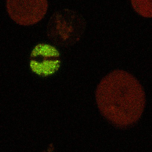 dwaithe's tweet photo. Not so long ago, in a laboratory not so far away.... Veronica Buckle and Chris Lagerholm found the Death Star menacing the other cells. @MRC_WIMM @RDMOxford #FridayFeeling https://t.co/zU9vvMB8nx