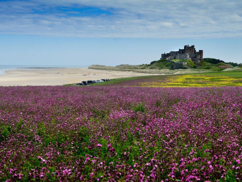 Bamburgh has made it through to the grand final of Channel 4 show, Village of the Year
northumberlandgazette.co.uk/news/bamburgh-…