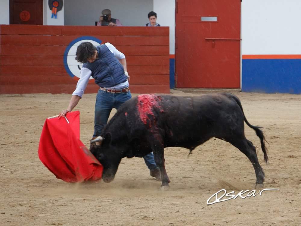 Tienta de verdadero lujo en <a href="/GSanConstantino/">San Constantino</a> 🇲🇽 <a href="/UrenaOficial/">Paco Ureña</a> y @andresrocarey la armaron en grande en la finca de <a href="/jpccrv/">Juan Pablo Corona</a> con miras a sus siguientes compromisos americanos