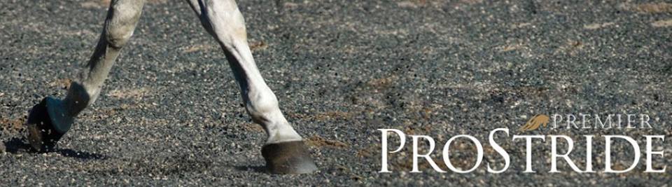 PremierEquest's tweet photo. ProStride Footing is made from recycled tires &amp; is sized specifically for horse arenas. Designed to mix with sand, ProStride helps to create cushion &amp; rebound in the surface. Order ProStride Footing today at https://t.co/Cd9nj0GG5r. https://t.co/0WLxB68Xzw