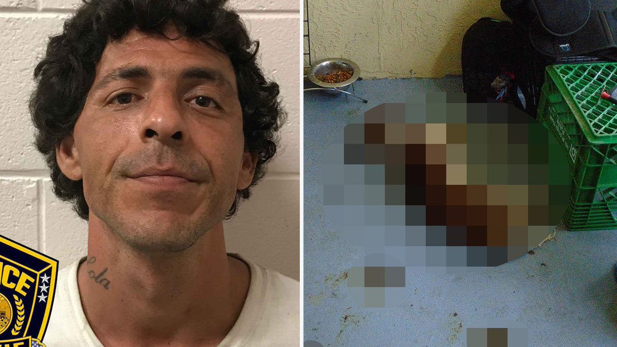 Davie man has been arrested after he was found lying on top of a dead dog on his porch bit.ly/2srceJJ?utm_so… https://t.co/c6Lcrd9bBC