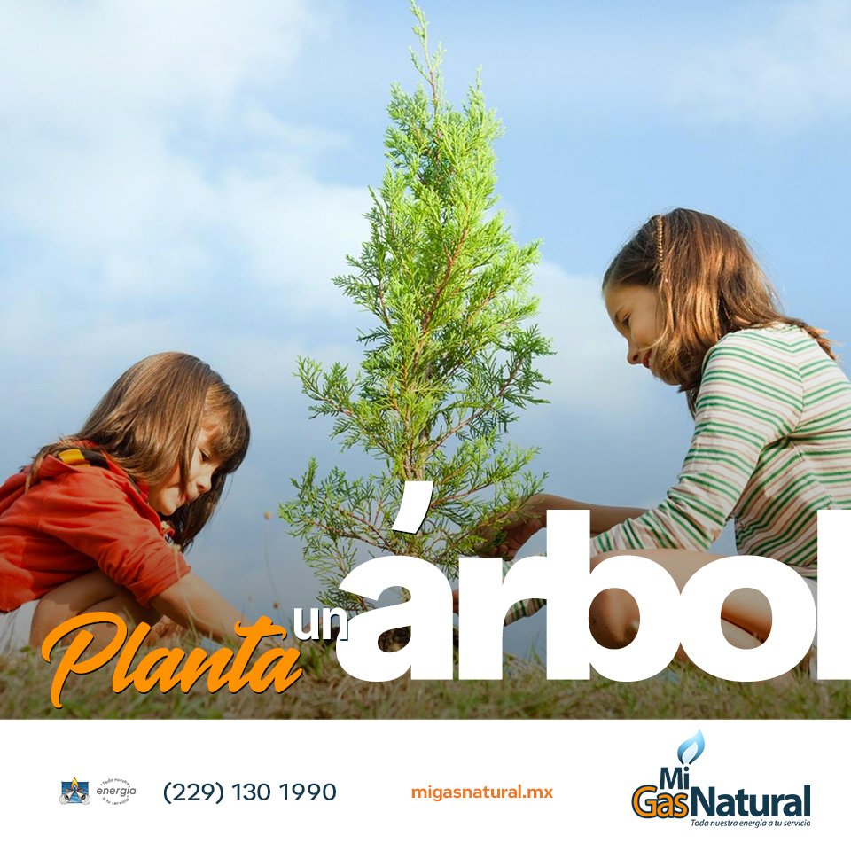 MiGasNatural tweet media