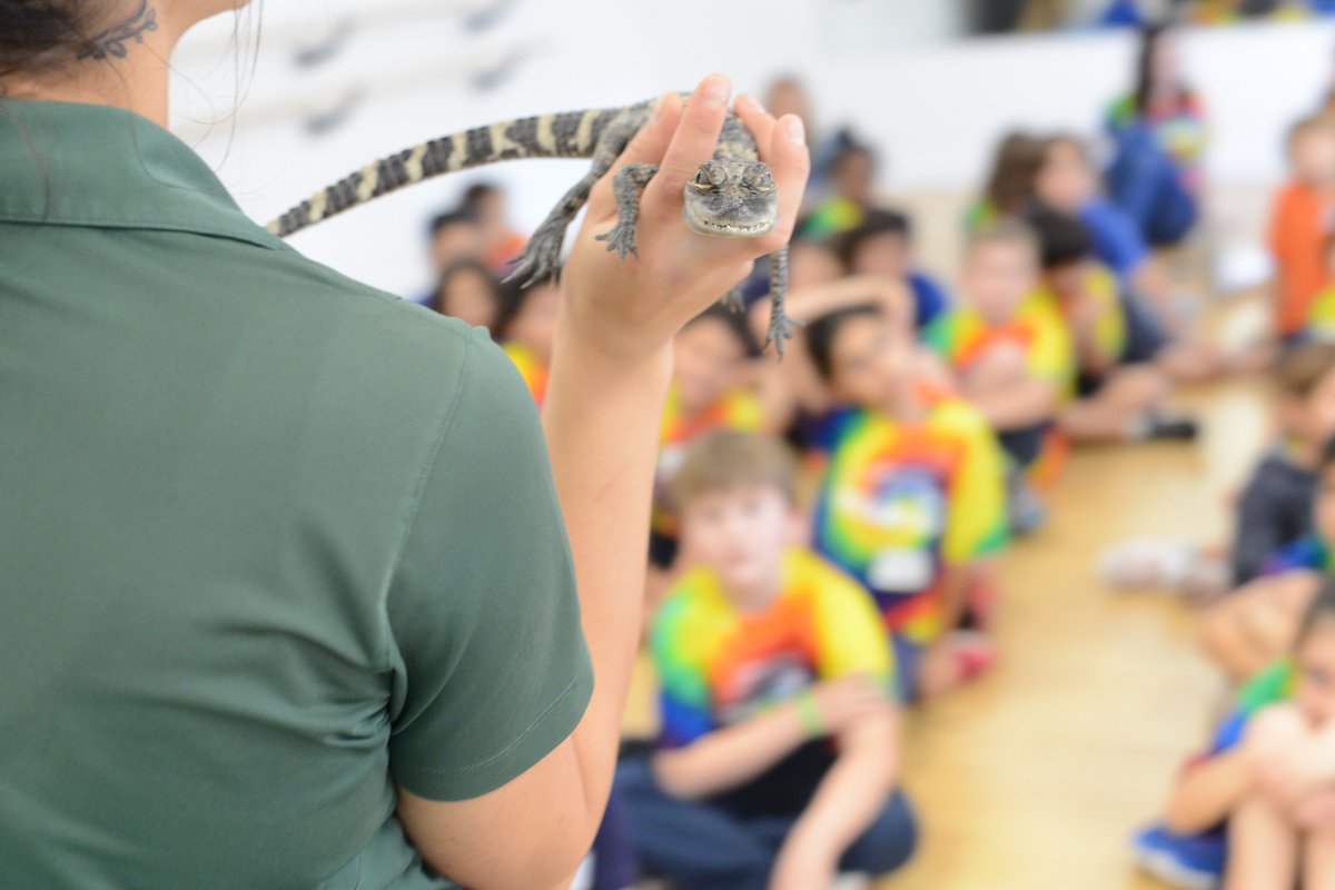 ProjectStudioLA's tweet image. Thanks to everyone who helped to make STEAM day @WiseSchoolLA a huge success. We&apos;re getting amazing feedback from kids and parents! @reDiscoverCtr @casciencecenter @googleresearch #GoogleAR @StarEcoStation @MilkenKnights #Steam #STEMed