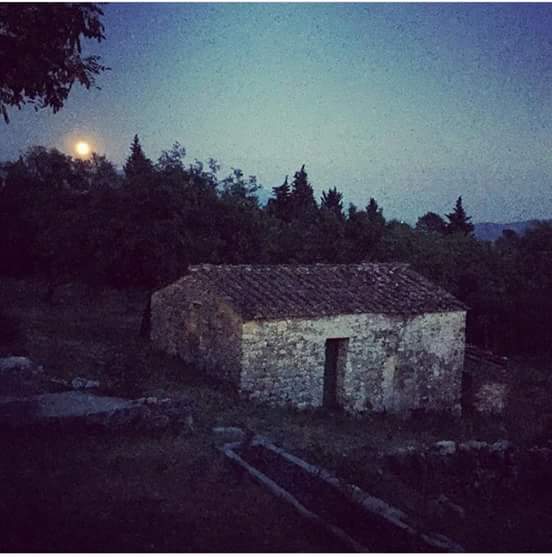 RosDefilipp's tweet image. La magia della notte