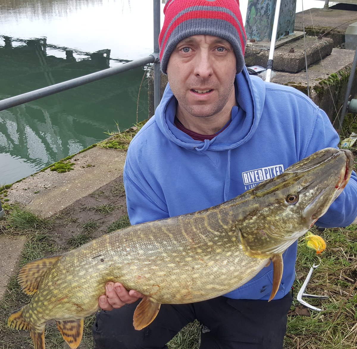 cwa1115's tweet photo. Been off work due to being not well. But managed a quick session today. 3 doubles and a New New PB of 15lb 1oz, all on my own Jig-Flys. Bloody got me tho haha. https://t.co/n4d4NfdE6N