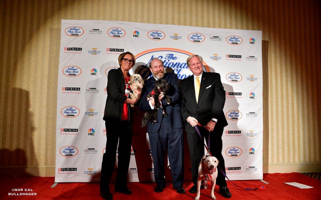 stgrf's tweet image. Headed to NYC as @TheNatlDogShow co-host @dfreithedogguy gets inducted into the @DWAA_US Hall of Fame. And for the @Purina ShowDogs of the Year, hoping that nominee Kennel Club of Philadelphia wins show of the year.