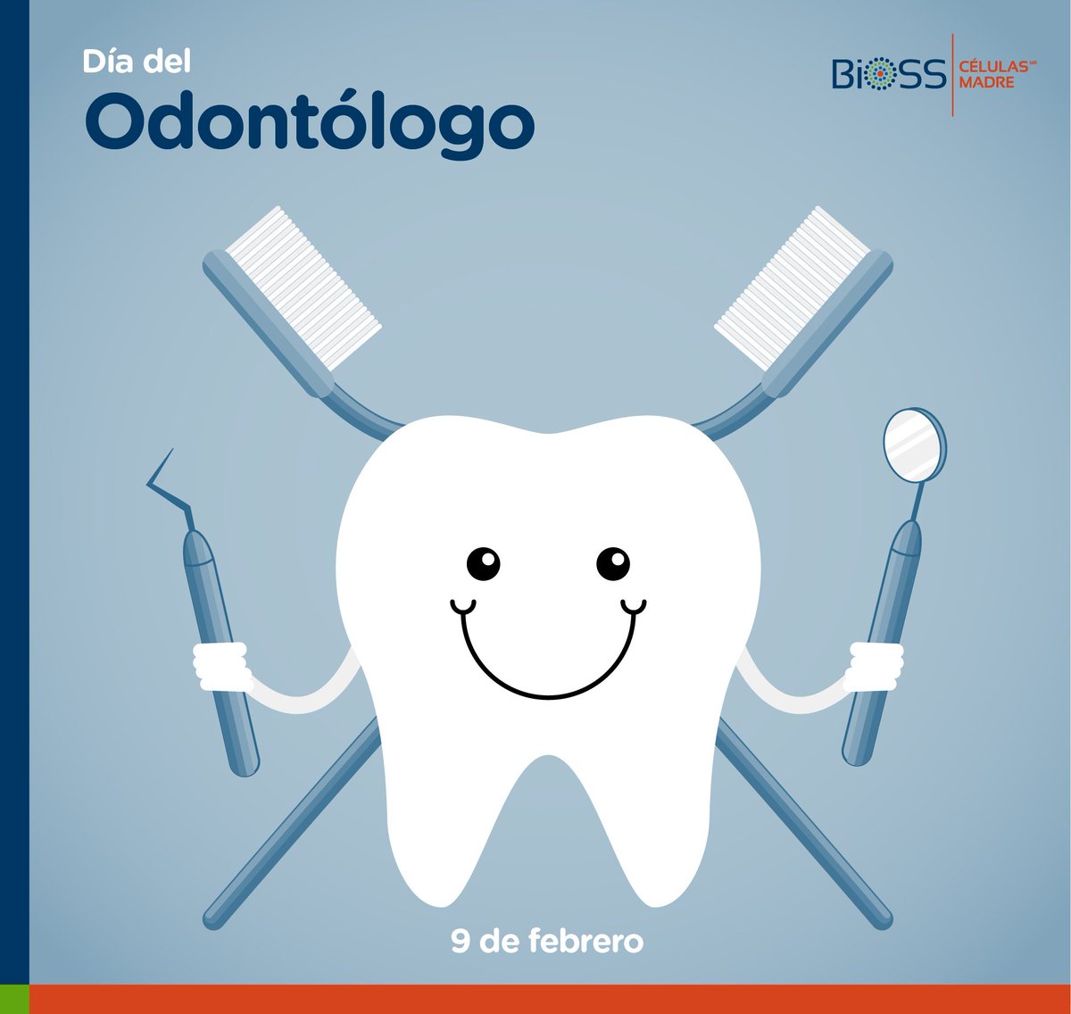 Biosscelulas's tweet photo. En Bioss celebramos a quienes nos hacen tener una bella sonrisa. #DíaDelOdontólogo https://t.co/XDUf955RSH