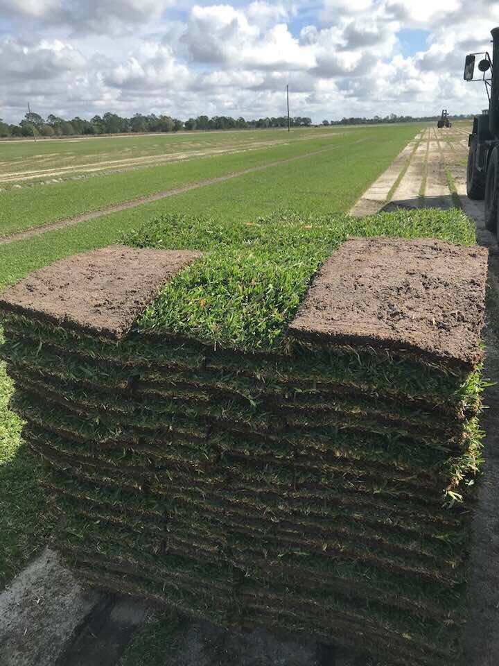 thesodmonster's tweet photo. Harmony Home St. Augustine ready to boost some sales in the stores thanks to @Bethel_TriYield Nano Technology Products @JonathanOBrown2 @harmonyorangerb @bjryan3 https://t.co/OiwMzZWcRM