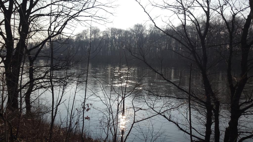 Time is standing still for a moment. Feeling thankful. Look at this. I am inhaling the beauty of this moment with all my being. Took a walk today to get fresh air and to breathe and smile. My album is out for a week today and I feel just so very thankful. Sending you sunshine!!!