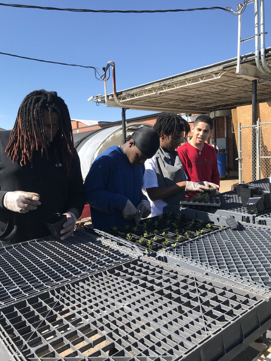 Forest Hills FFA tweet media