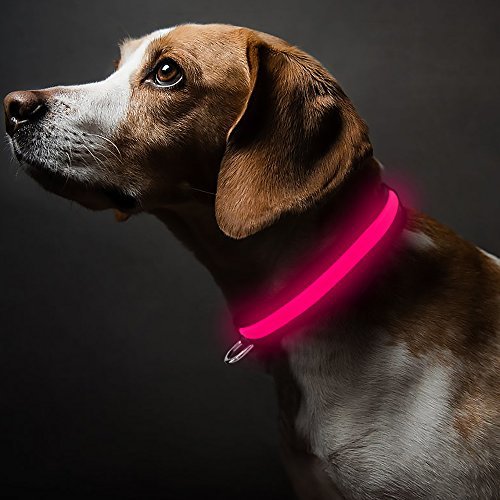 9 Pretty in Pink Leashes and Collars for Your Sweet Dog - luvchihuahuas.com/2018/02/09/9-p…