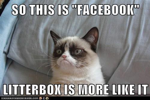 Greg A. (not Elon M.) 🇺🇦 tweet media