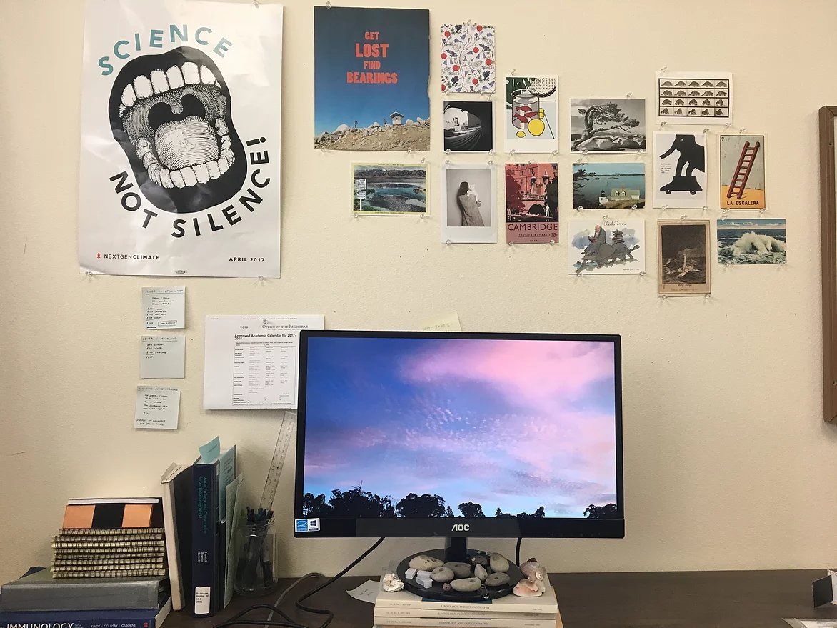 LivingSystemsSB's tweet photo. Step inside the offices here at UCSB and learn how to build your own office-nest with the help of An (find her on insta @corvilady)! https://t.co/vQQO7HIO8S https://t.co/OwaDKLuzkc