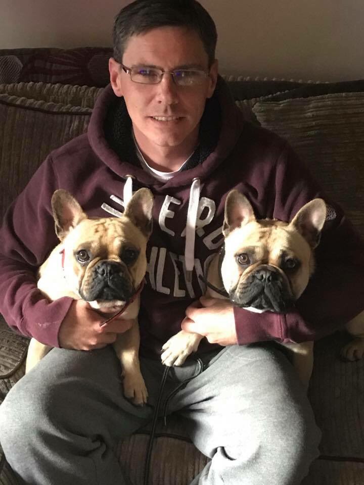My 2 French bulldogs have been missing since 10:20am this morning the 9th February 2018 from my home in Govilon, Abergavenny, South Wales. Please help they are fawn with black mask and brothers so very similar
