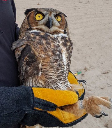 This Beauty was found in My Neighborhood. Such a Gorgeous Creature!