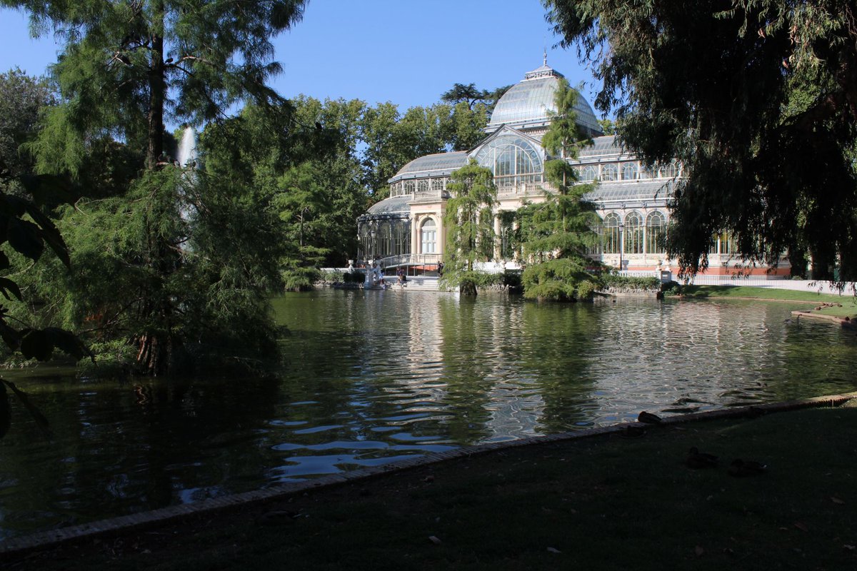Stex250986's tweet photo. Una delle cose che ho maggiormente apprezzato di #Madrid Γ¨ stato il #parcodelretiro
Utilissimo per attenuare l'afa estiva ma.... un giro nel parco vale sempre la pena farlo, cosΓ¬ troverete anche luiππππππππππππ
https://t.co/SU3Xzgg2iV https://t.co/pQJ1RXt6f3