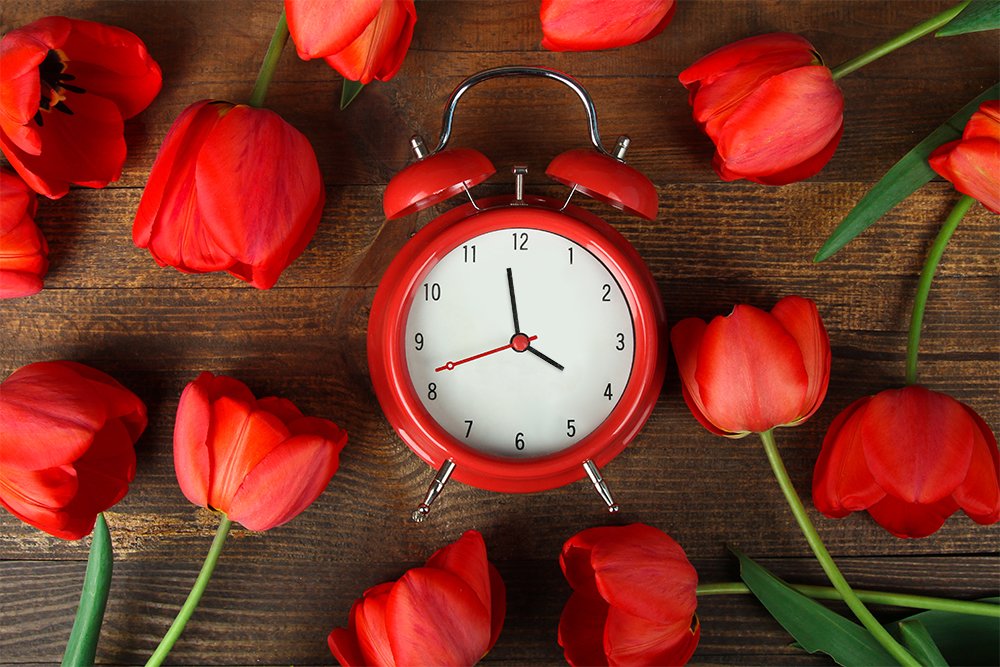 25% Off, 2 Free Candles + Free Shipping. Order by 4PM today to get your gifts by Valentine's Day!

solorganix.com