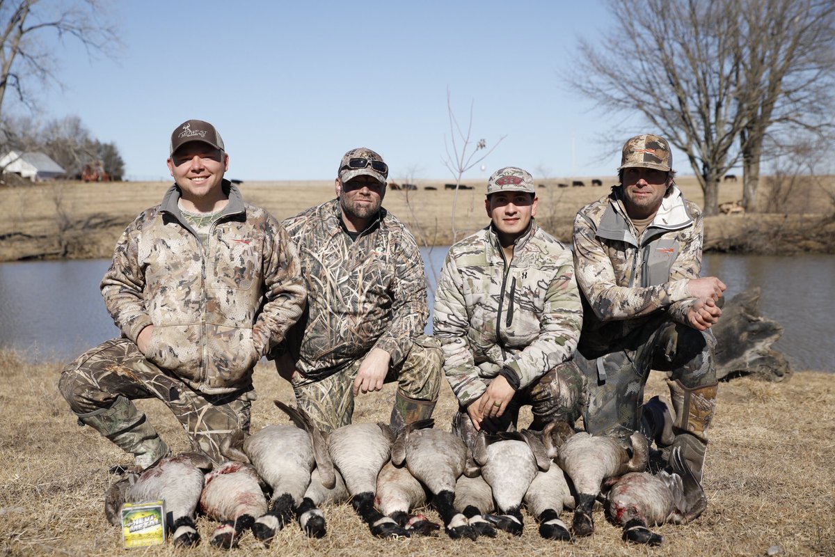 A few fun ones to end the year!